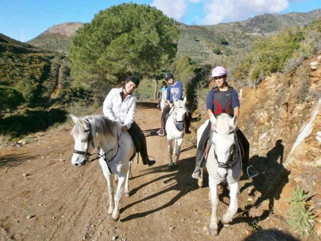  Percursos a cavalo para grupos em Málaga 